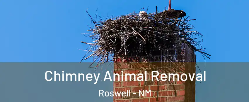 Chimney Animal Removal Roswell - NM