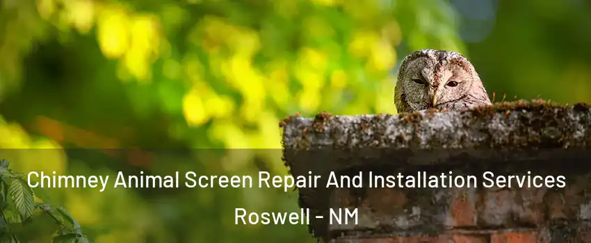  Chimney Animal Screen Repair And Installation Services Roswell - NM