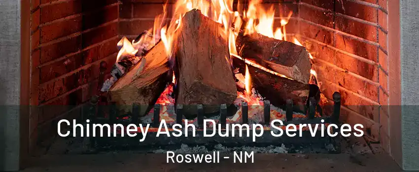  Chimney Ash Dump Services Roswell - NM