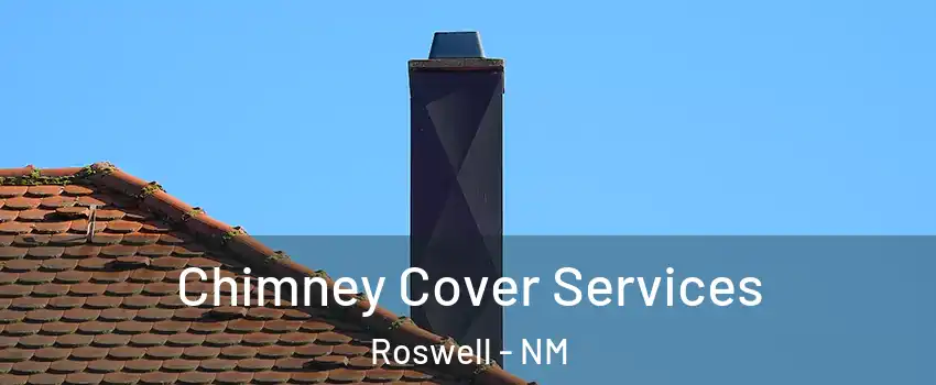  Chimney Cover Services Roswell - NM