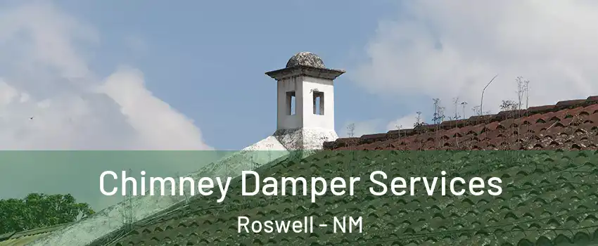  Chimney Damper Services Roswell - NM