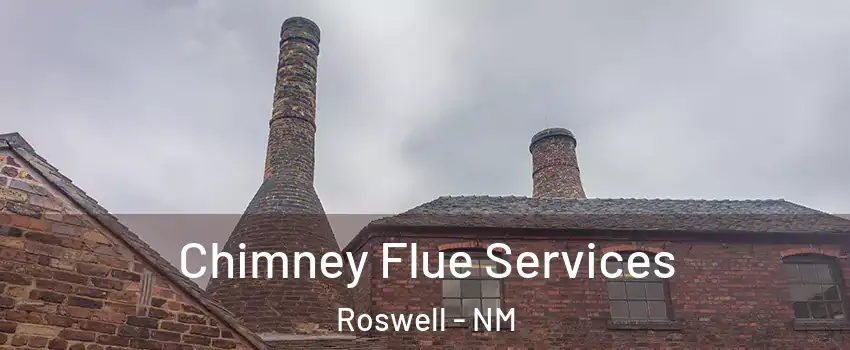  Chimney Flue Services Roswell - NM