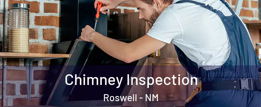  Chimney Inspection Roswell - NM