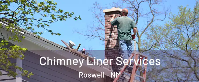  Chimney Liner Services Roswell - NM