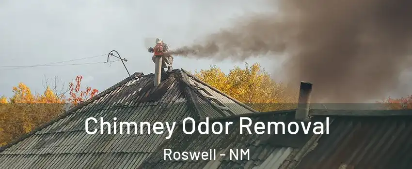  Chimney Odor Removal Roswell - NM