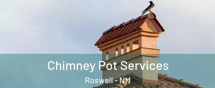  Chimney Pot Services Roswell - NM