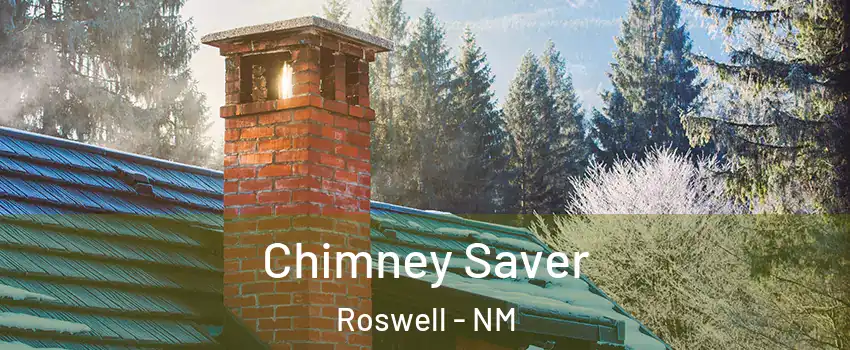  Chimney Saver Roswell - NM