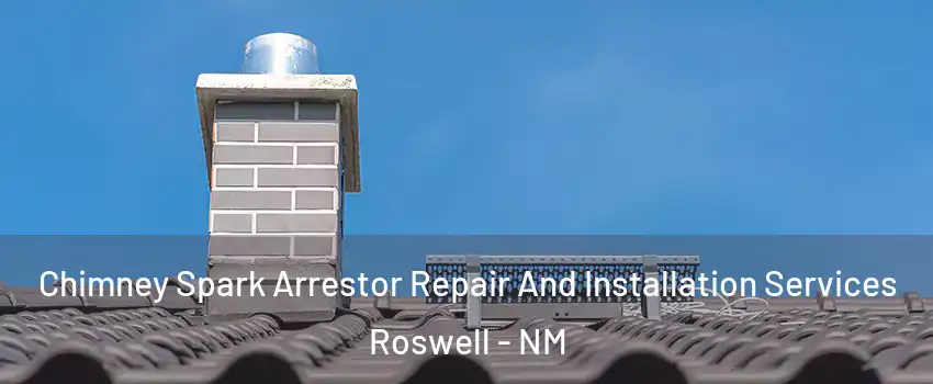  Chimney Spark Arrestor Repair And Installation Services Roswell - NM