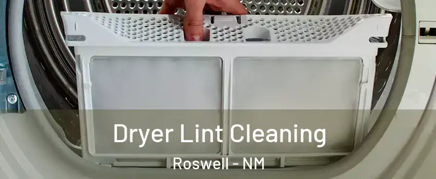  Dryer Lint Cleaning Roswell - NM