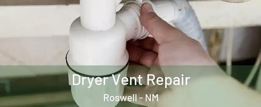  Dryer Vent Repair Roswell - NM