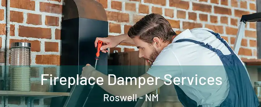  Fireplace Damper Services Roswell - NM
