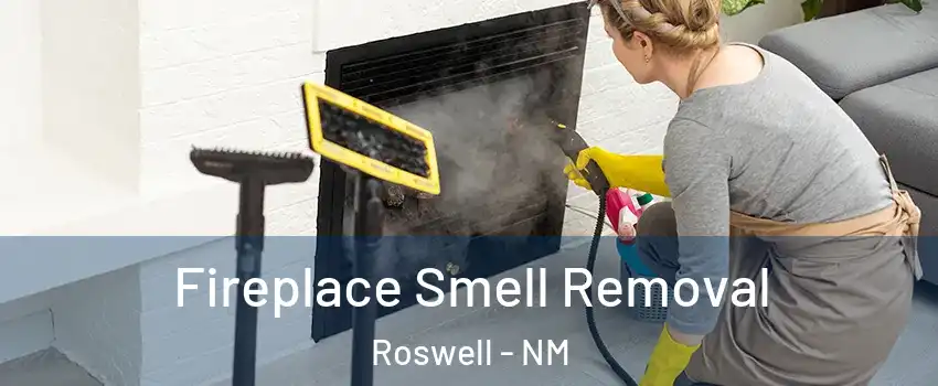  Fireplace Smell Removal Roswell - NM