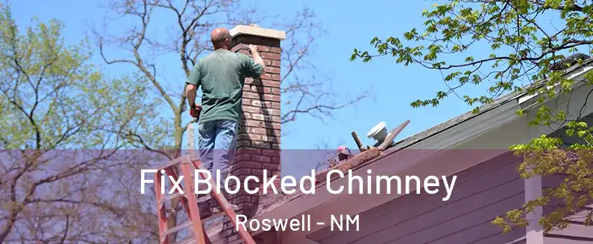  Fix Blocked Chimney Roswell - NM