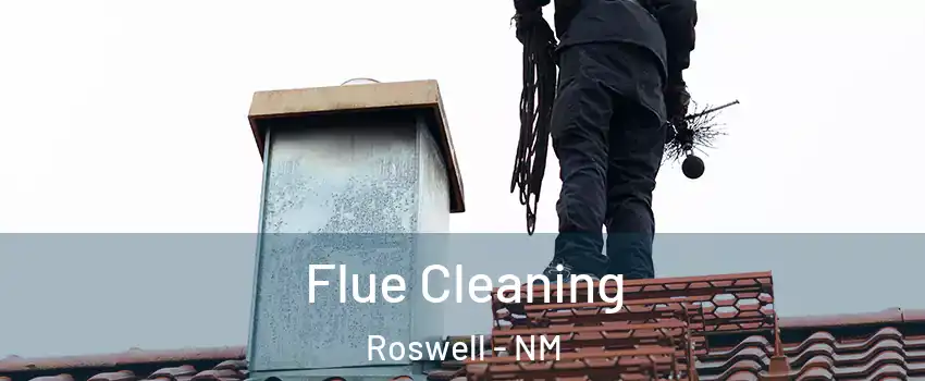  Flue Cleaning Roswell - NM