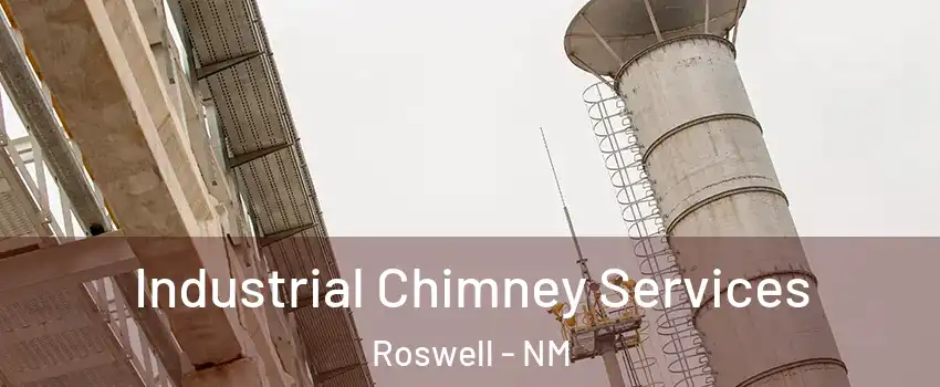  Industrial Chimney Services Roswell - NM