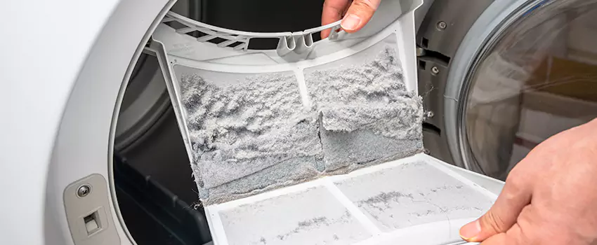 Best Dryer Lint Removal Company in Roswell, New Mexico