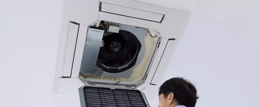 Benefits of Professional Air Duct Cleaning in Roswell, New Mexico