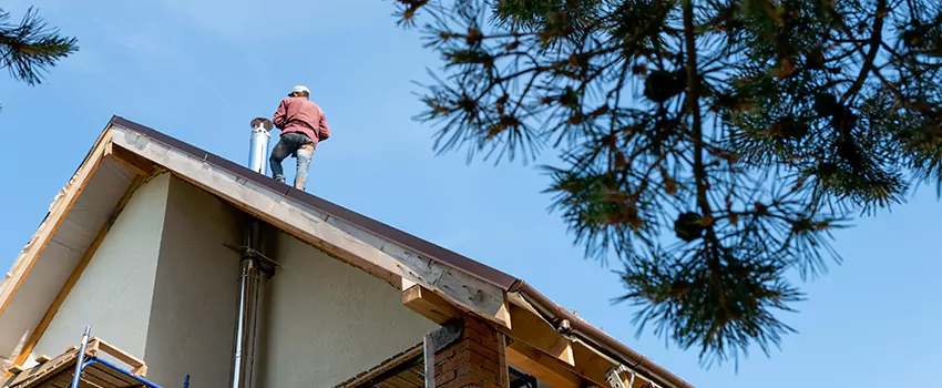 Birds Removal Contractors from Chimney in Roswell, NM