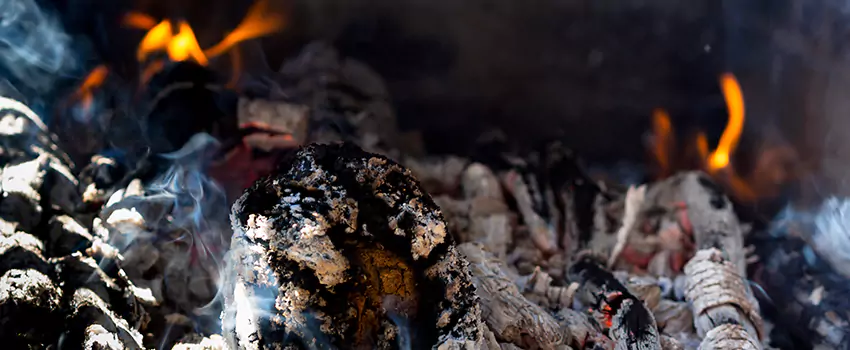 Creosote Removal Experts in Roswell, NM