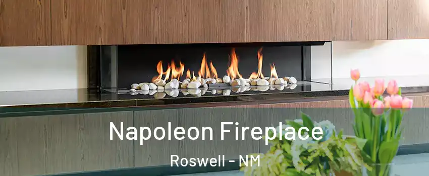  Napoleon Fireplace Roswell - NM
