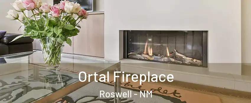 Ortal Fireplace Roswell - NM